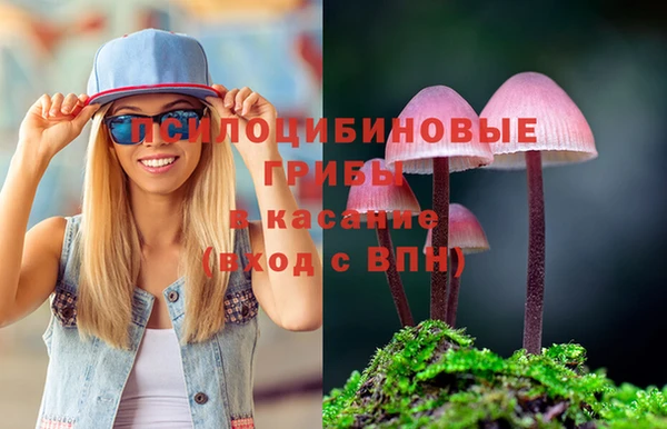 мдма Лагань