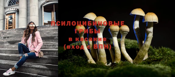 мдма Лагань